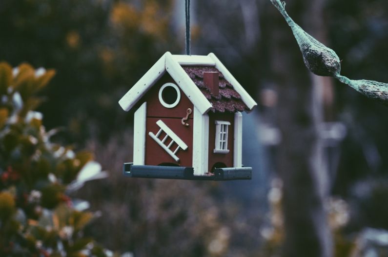 Rental Market - closeup photo of red and white bird house